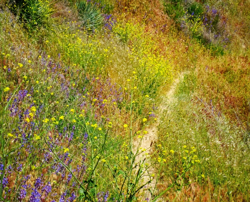 2023 0427 2224050037 01