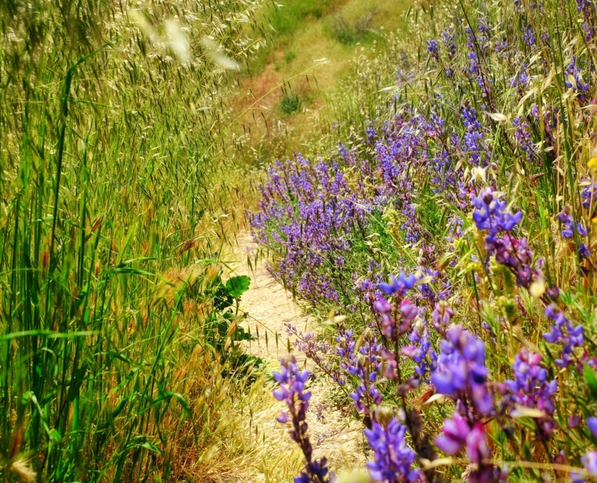 2023 0427 2224050039 01