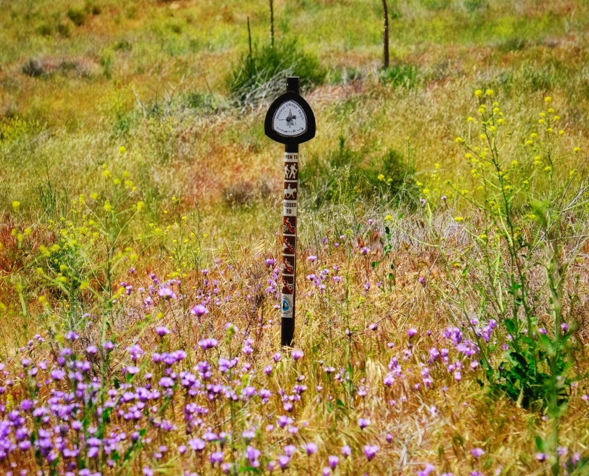 2023 0427 2224050041 01