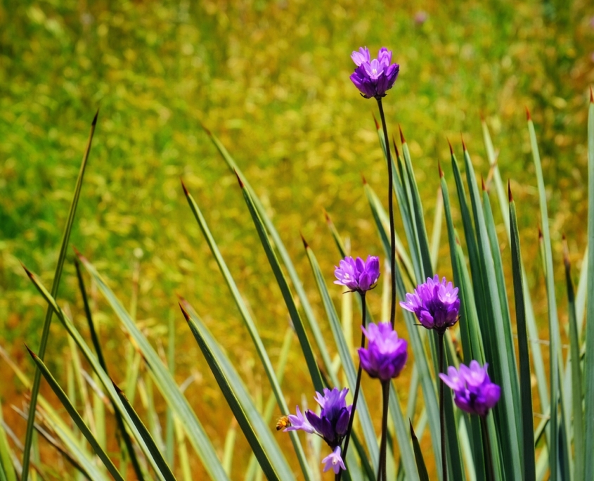 2023 0427 2224050042 01