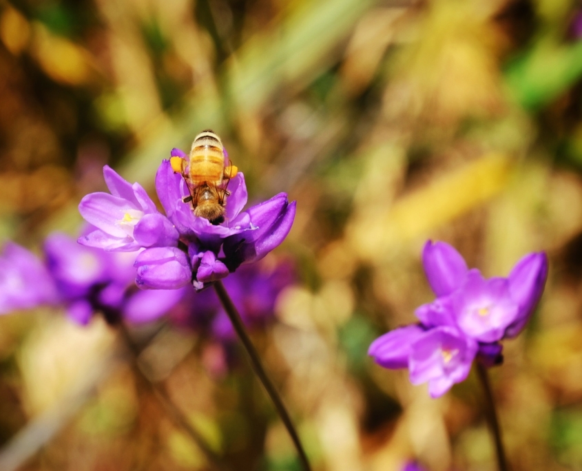 2023 0427 2224050044 01