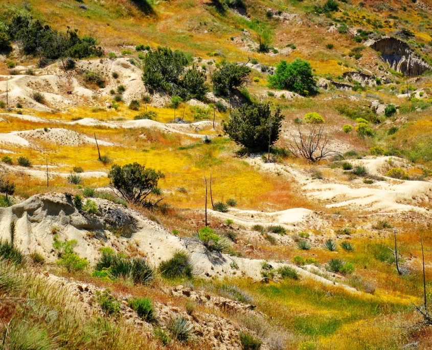 2023 0427 2224050047 01