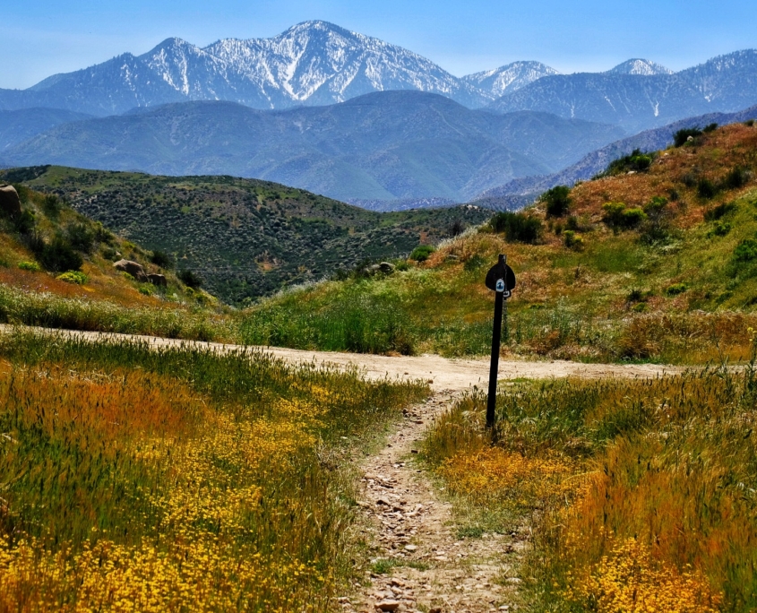 2023 0427 2224050050 01