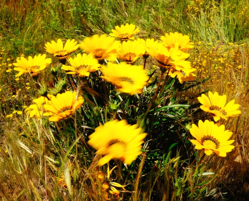 2023 0427 2224050053 01