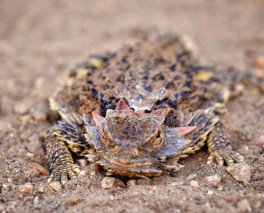 2023 0427 222405006 01