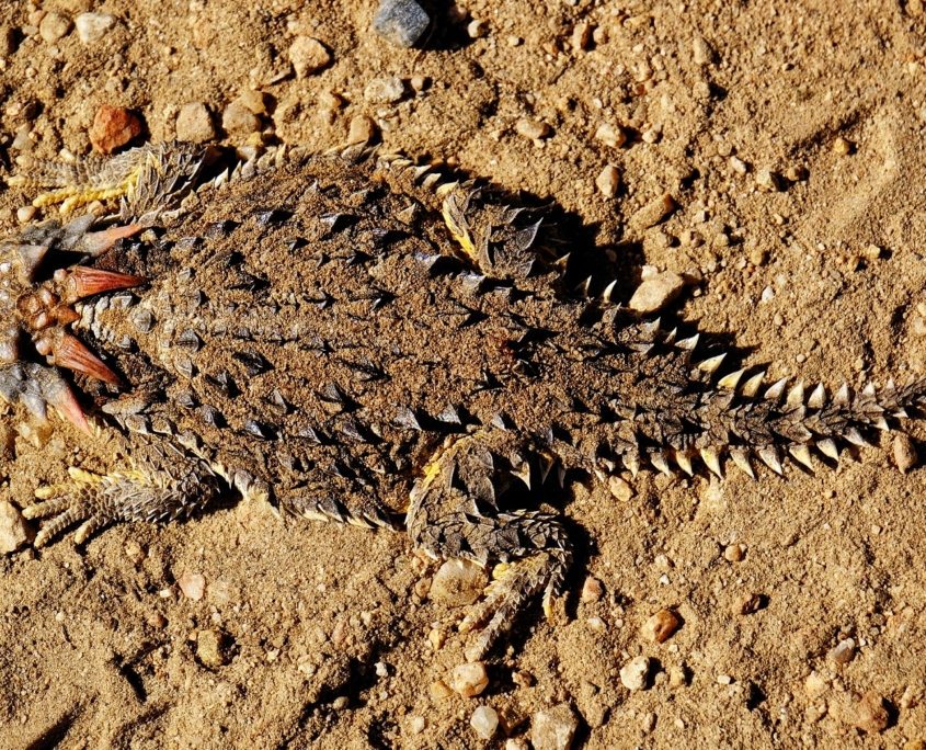 2023 0427 222405007 01