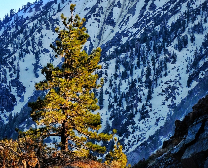 2023 0430 1922160015 01