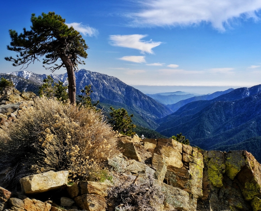 2023 0430 192216002 01