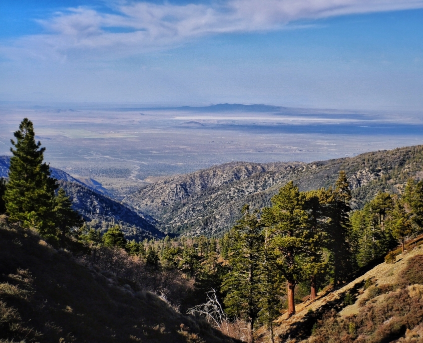 2023 0430 192216009 01