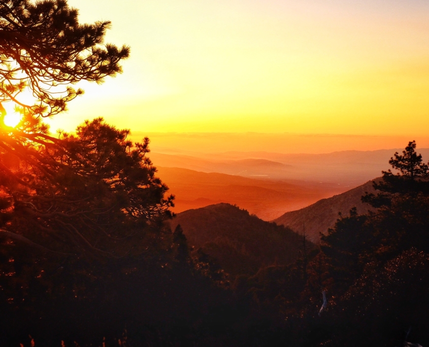 2023 0430 20013900 01