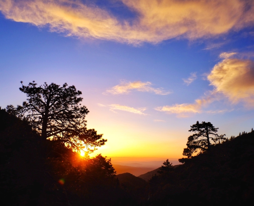 2023 0430 200139002 01