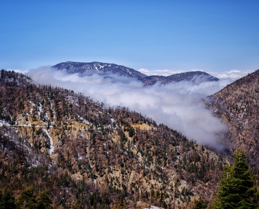 2023 0501 1646060014 01