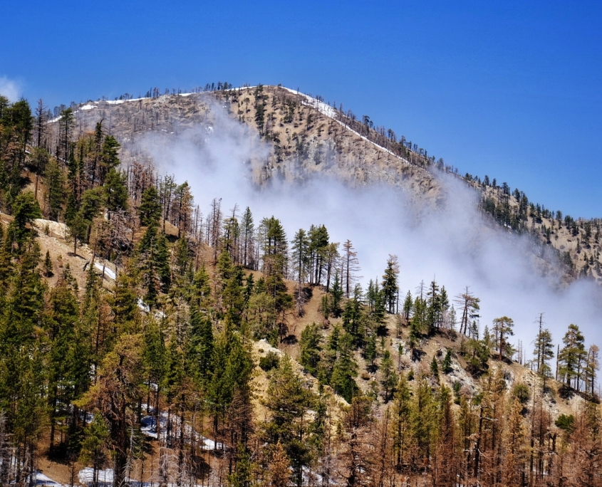 2023 0501 1646060020 01