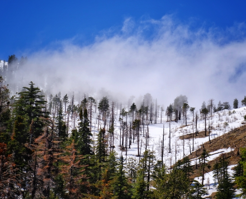 2023 0501 1646060021 01