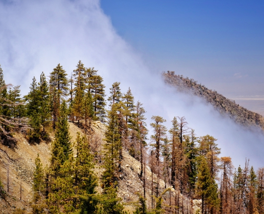 2023 0501 1646060023 01