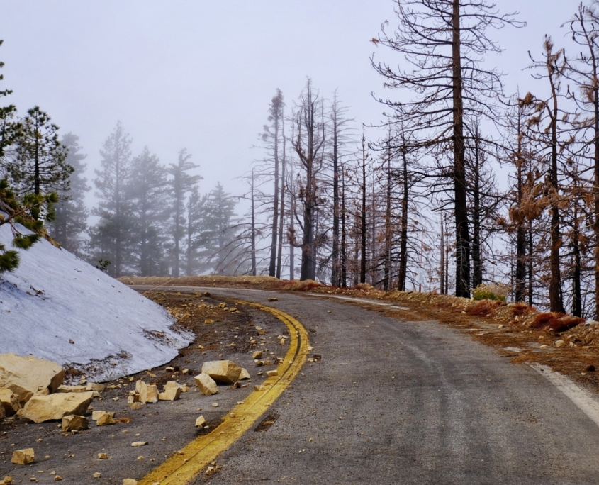 2023 0501 1646060026 01