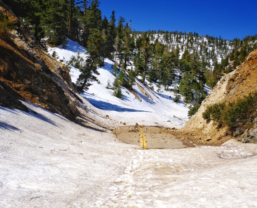 2023 0501 164606009 02