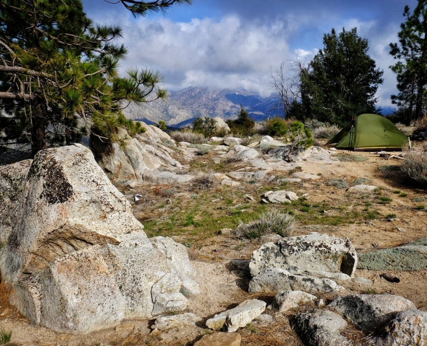 2023 0502 1659060025 01