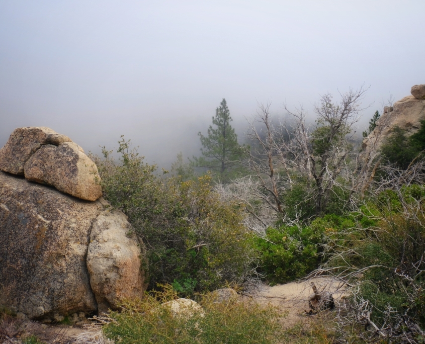 2023 0502 165906006 01