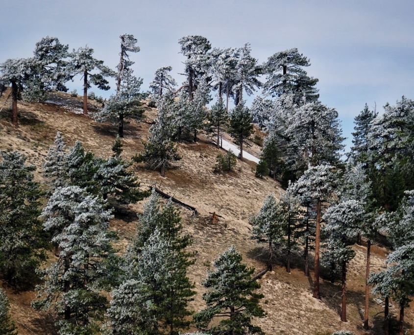 2023 0503 1230070013 01