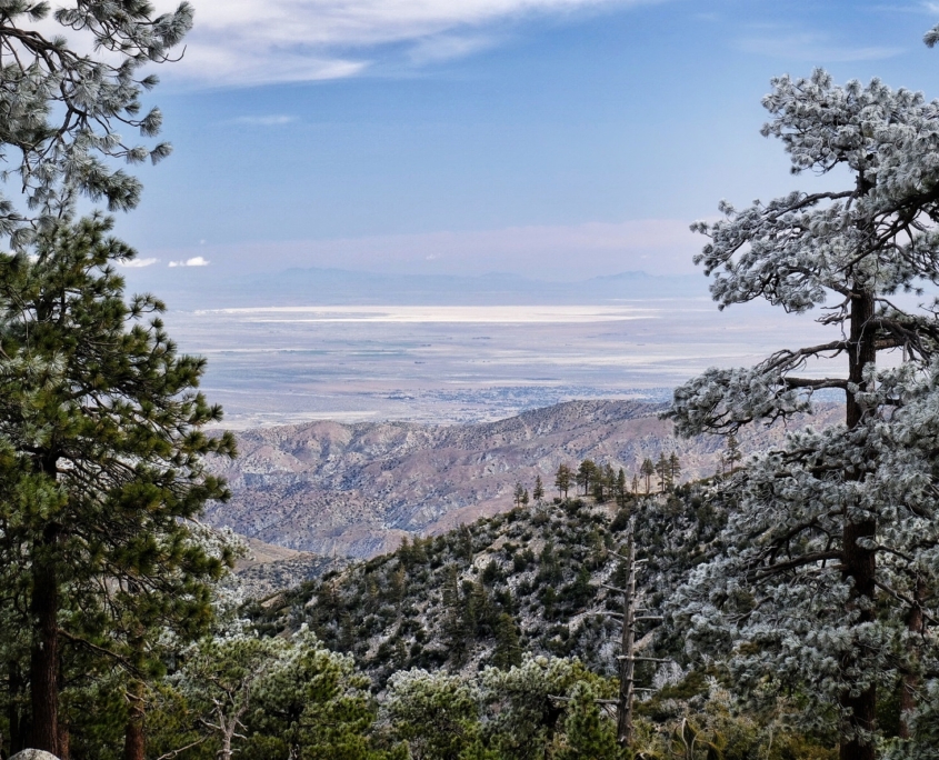 2023 0503 1230070019 01 01