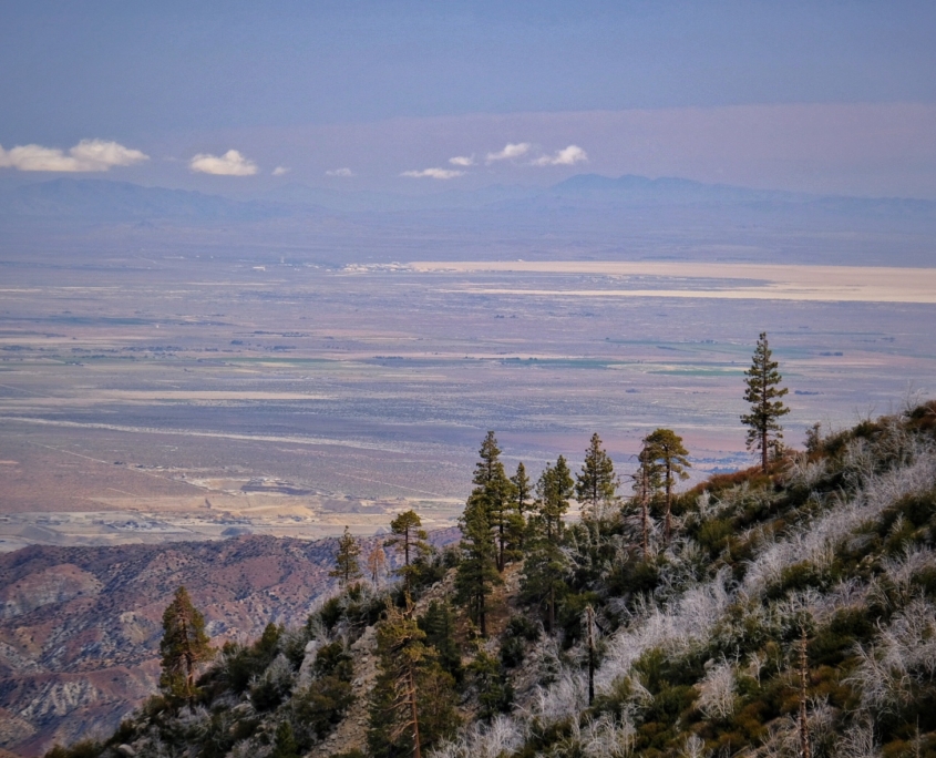 2023 0503 123007009 01