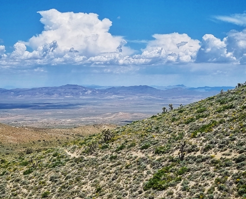 20230521 140331 01 scaled