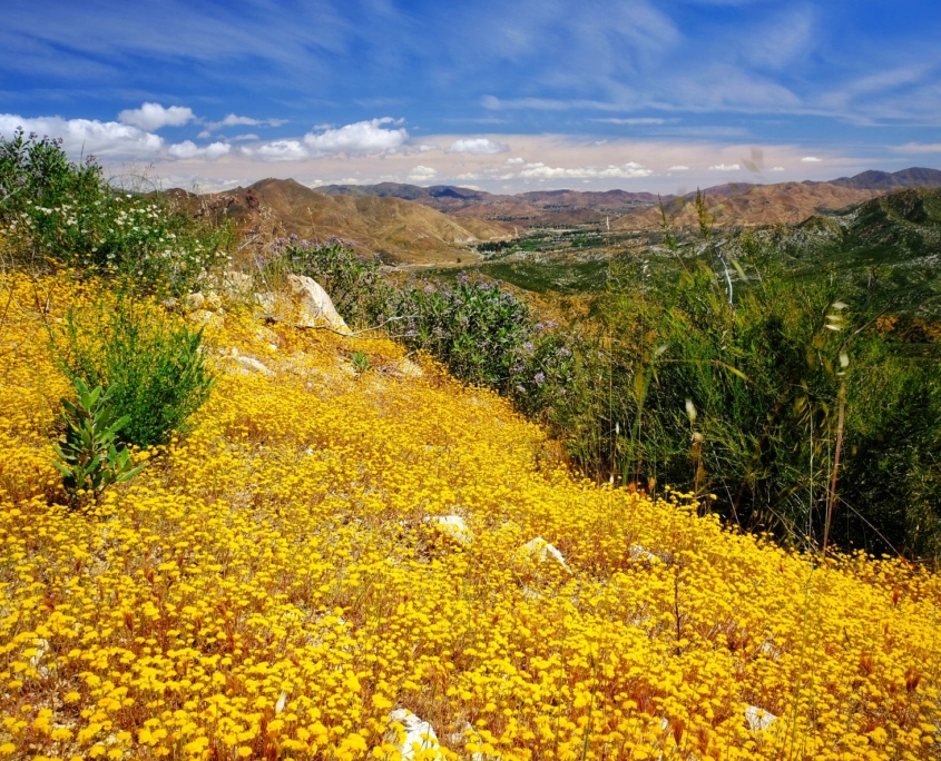 2023 0508 1840340016 01