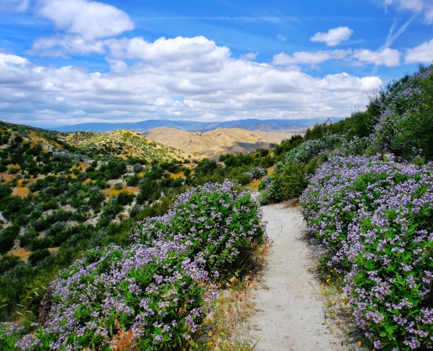 2023 0508 1840340017 01