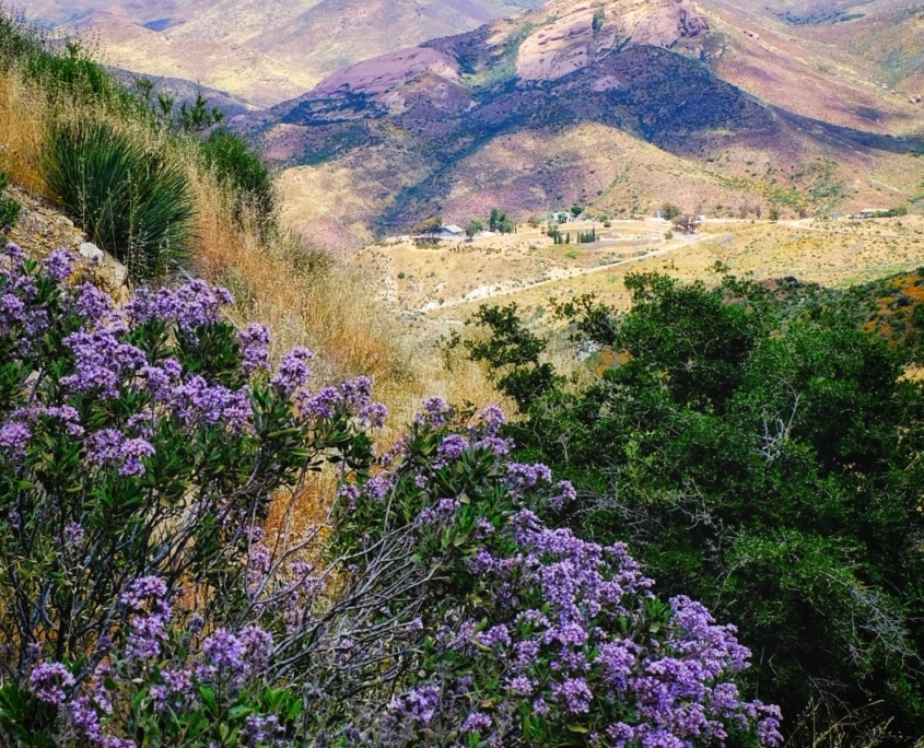 2023 0508 1840340019 01