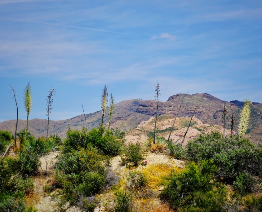 2023 0508 1840340028 01