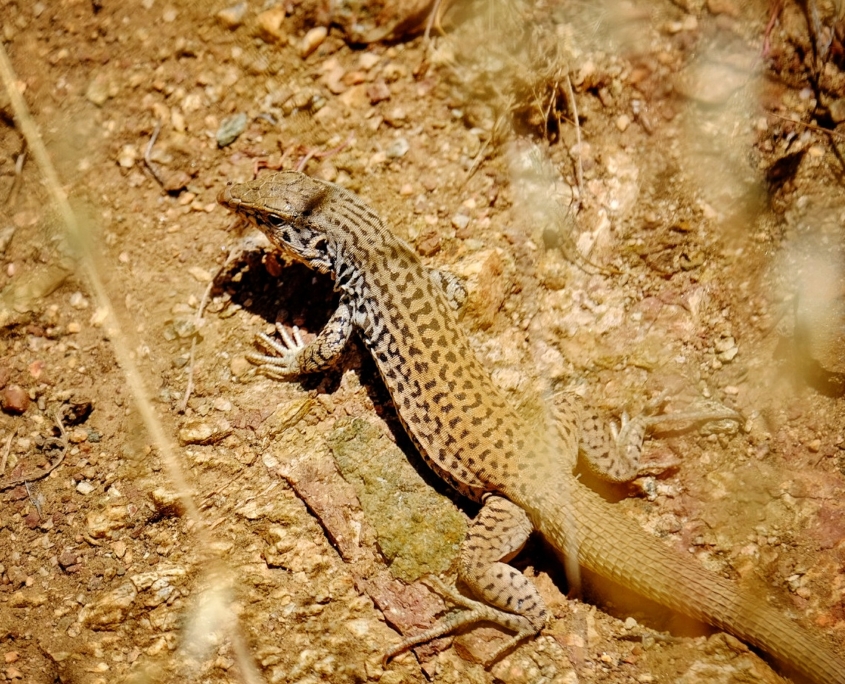 2023 0508 1840340034 01