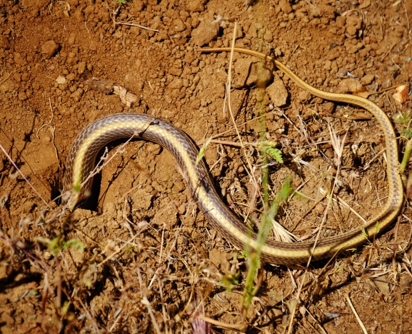 2023 0508 1840340048 01