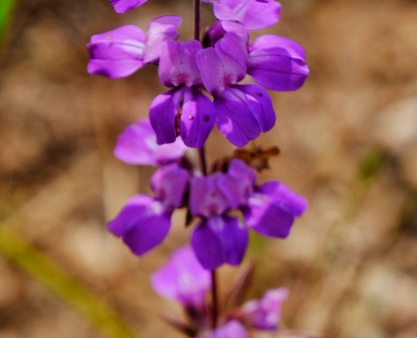 2023 0508 1840340049 01