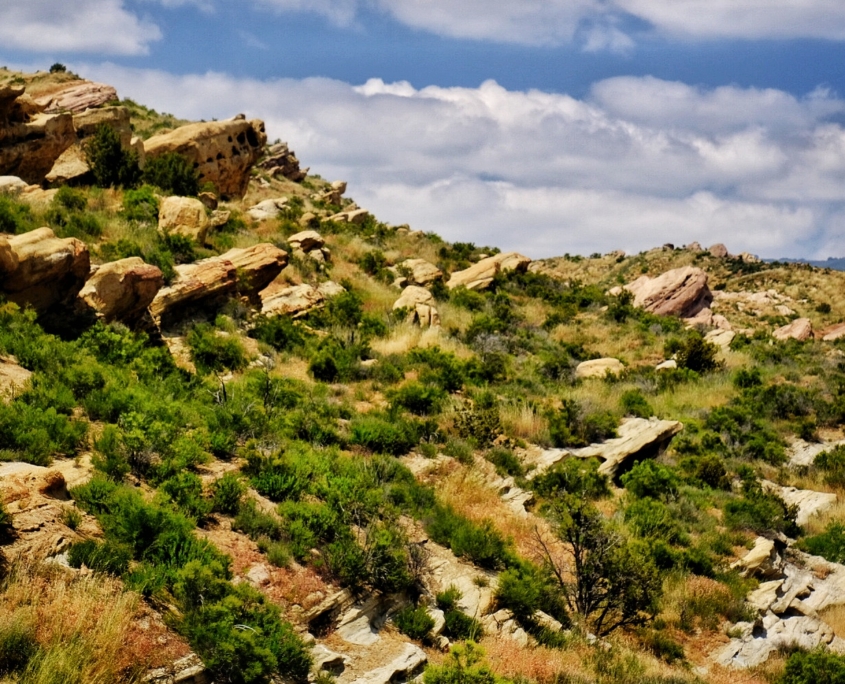 2023 0508 1840340055 01