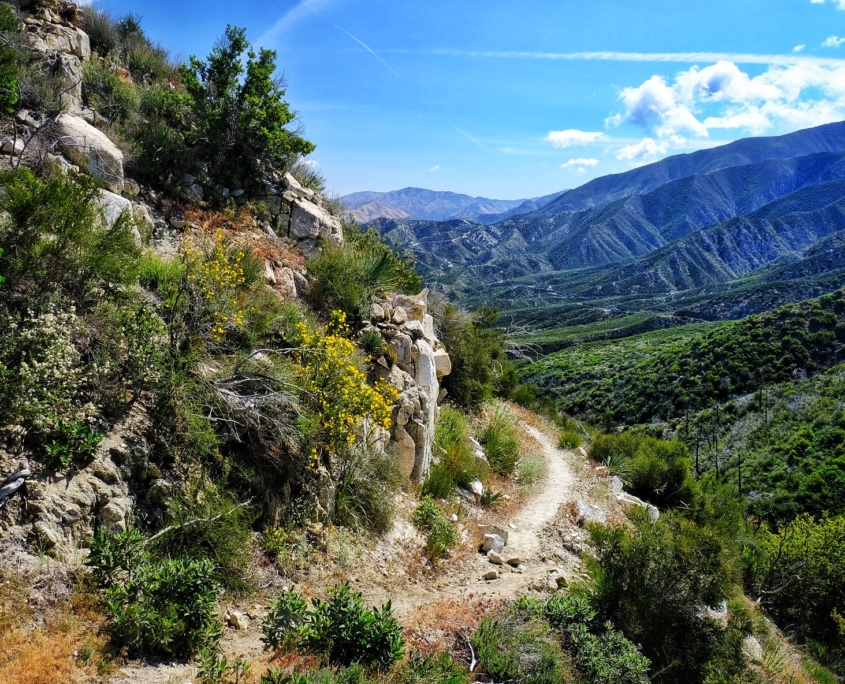 2023 0508 184034007 01