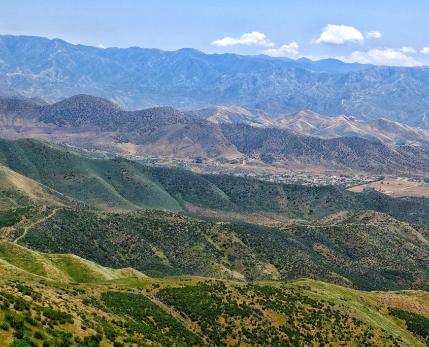 2023 0508 184437005 01 01