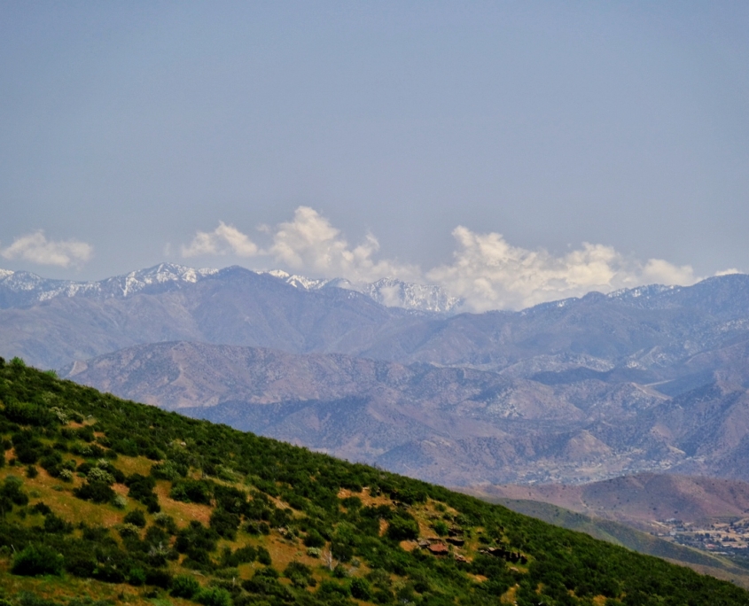 2023 0508 184437007 01