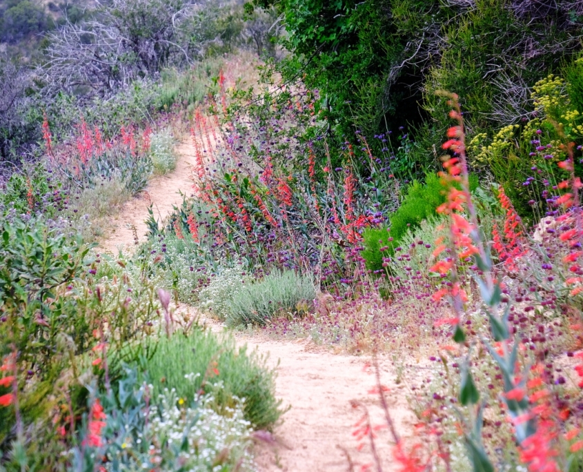 2023 0509 194951005 01