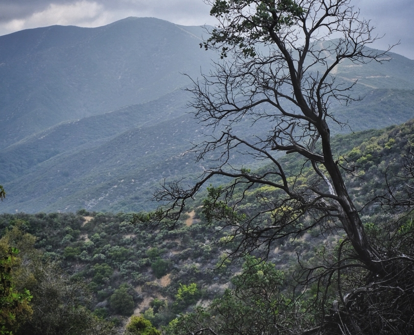 2023 0509 194951009 01