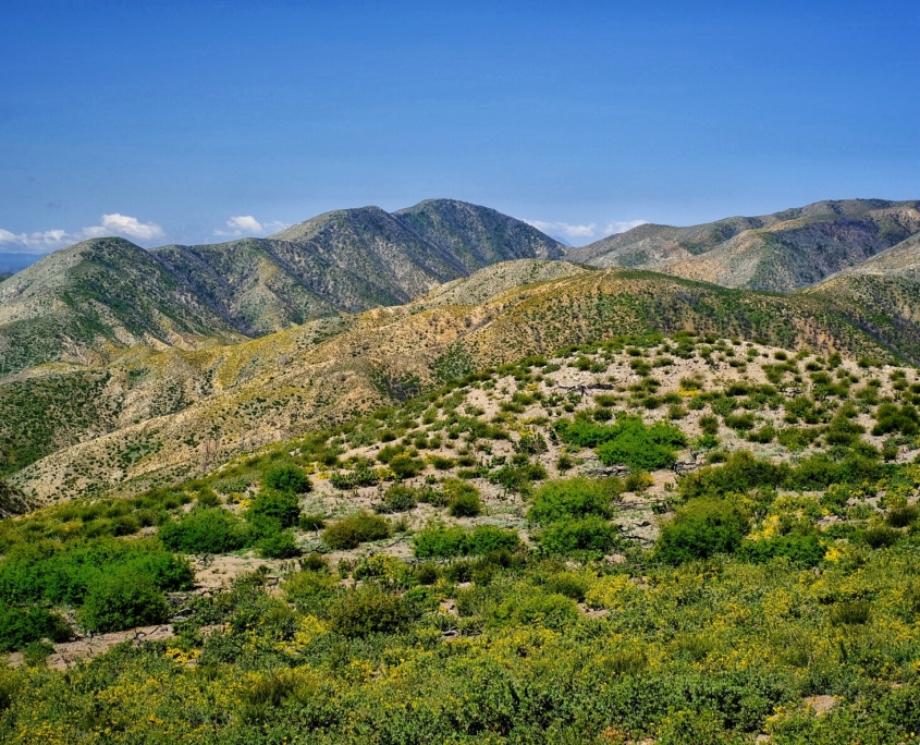 2023 0510 1838070010 01