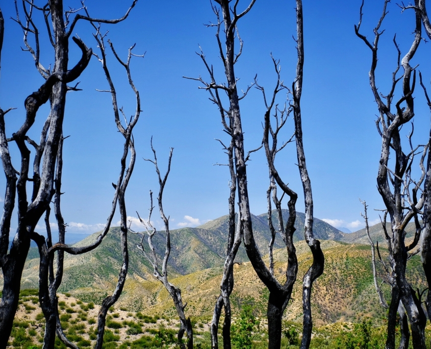 2023 0510 1838070012 01