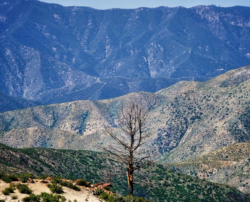 2023 0510 1838070014 01