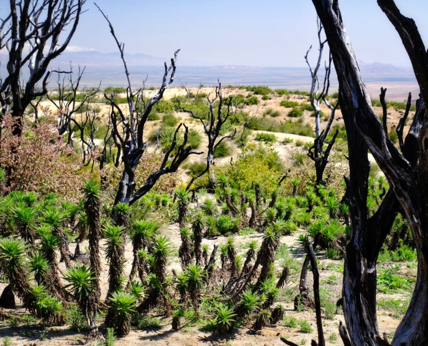 2023 0510 1838070018 01