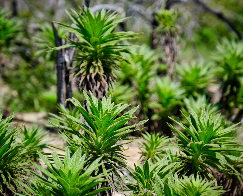 2023 0510 1838070020 01