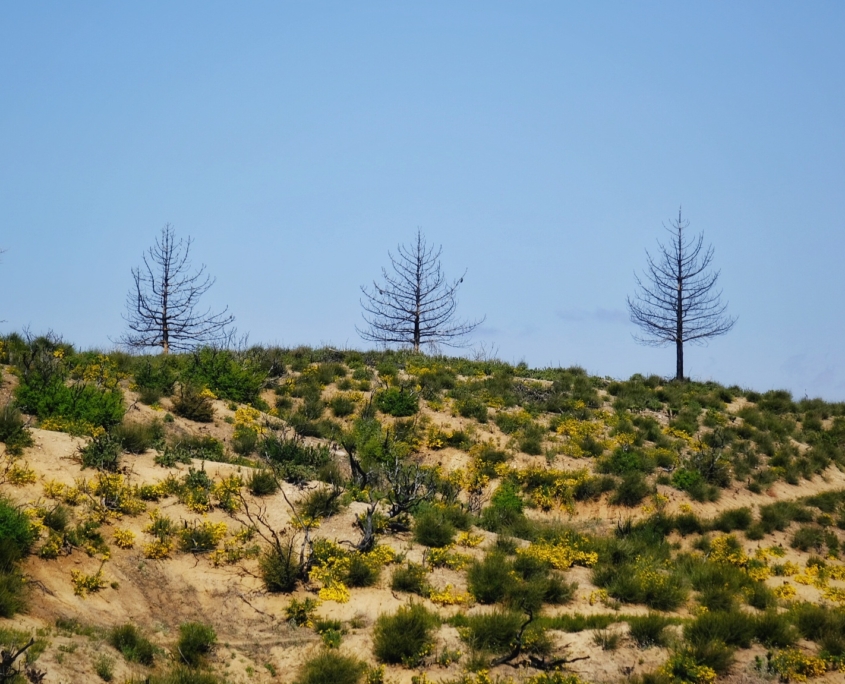 2023 0510 1838070023 01