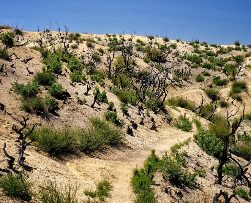 2023 0510 1838070026 01