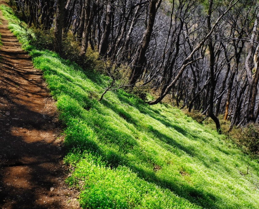 2023 0510 1838070030 01