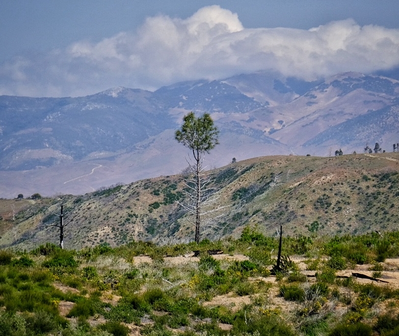 2023 0510 183807004 01