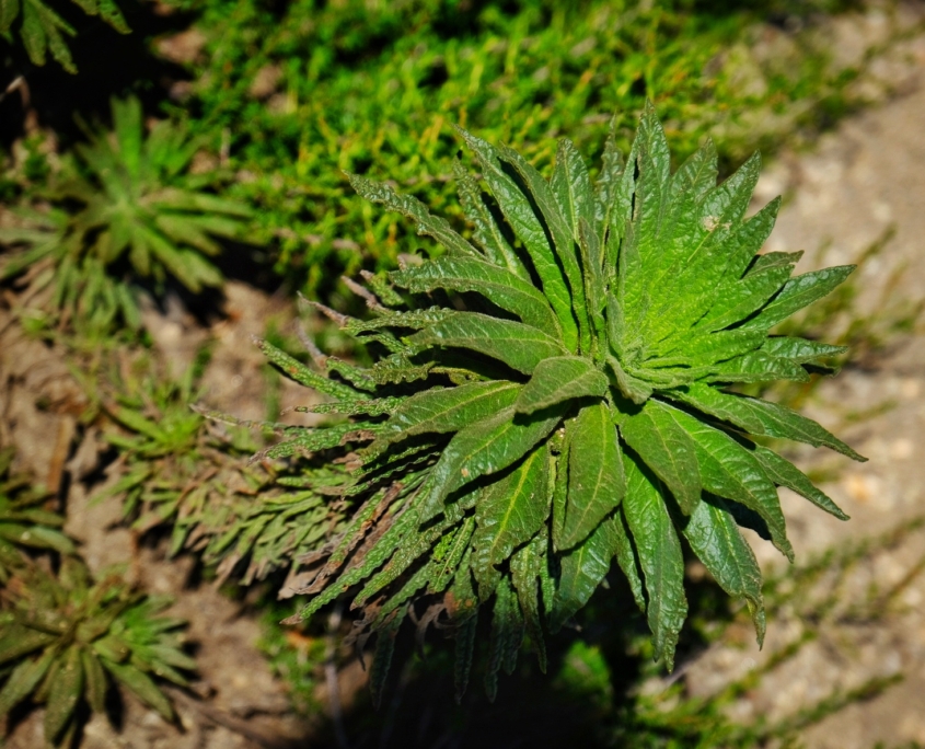 2023 0510 183807007 01